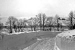 Winter 1969/70 An der Treuerhalde mit Blick auf den Kugelbaum