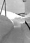 Winter 1969/70